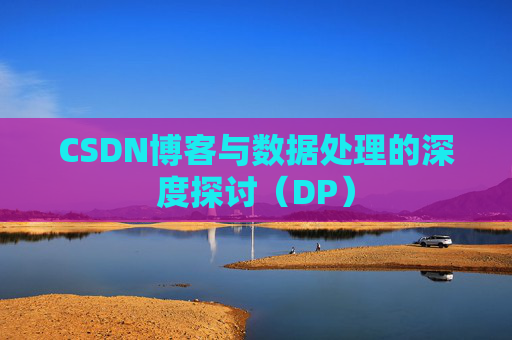 CSDN博客与数据处理的深度探讨（DP）